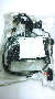 View NUT. M6x1.00. Export.  Full-Sized Product Image 1 of 10